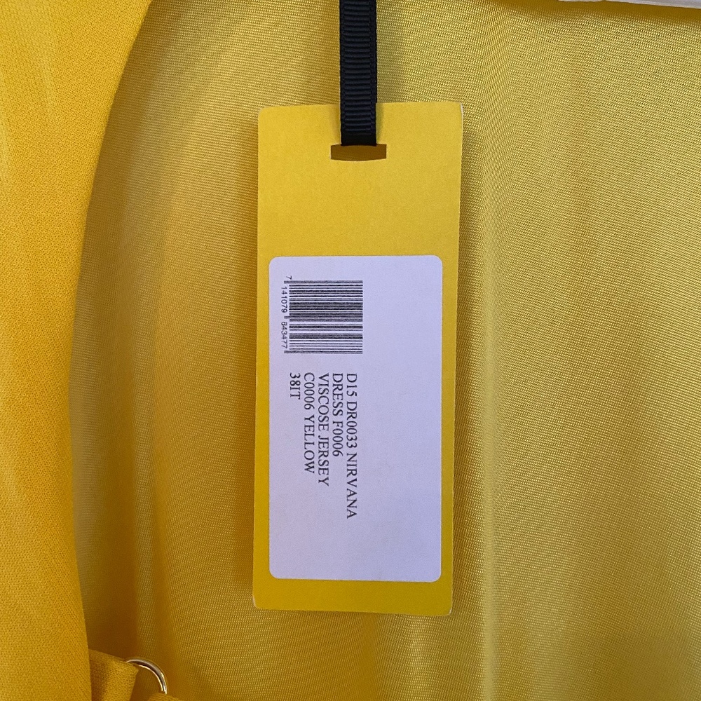 Peter Dundas yellow dress/gown